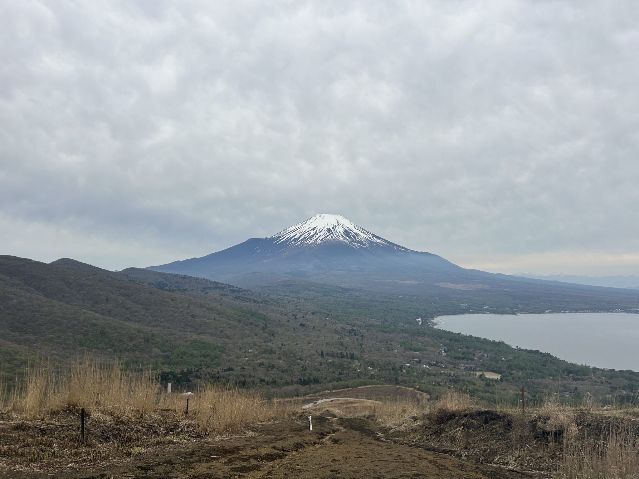 2024 Mt.FUJI 100 レポート【⑤レース後半編】｜100mileレースを100%楽しむブログ
